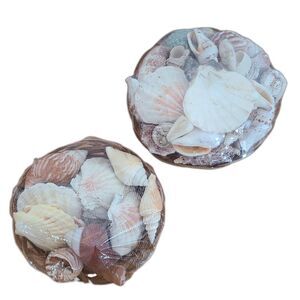Seashells Basket - Mixed Assortment Sea Shells - Decor Or Crafting - Set of Two